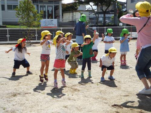 小さい花・大きい花 小さい花・大きい花
