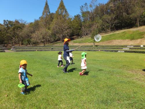 トンボ、なかなか捕まらないなぁ。。 トンボ、なかなか捕まらないなぁ。。