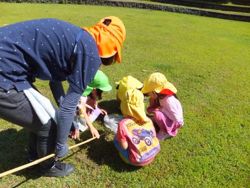 トンボ、どうやって握ったらいいのかな? トンボ、どうやって握ったらいいのかな?