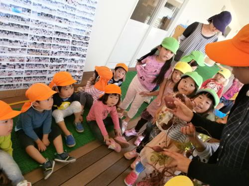 掘ったお芋をみんなで見よう 掘ったお芋をみんなで見よう