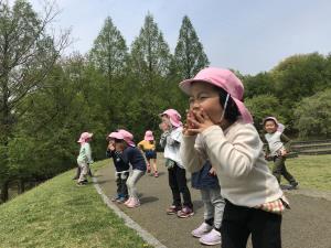 やっほー やっほー