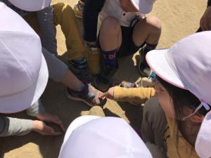 おにぎめ おにぎめ