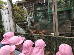 にわとり にわとり