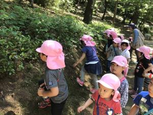 のいちご のいちご