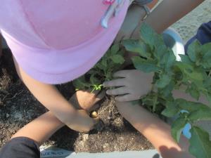 あれ?見えてきた! あれ?見えてきた!