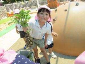 こんなの出てきたよ! こんなの出てきたよ!