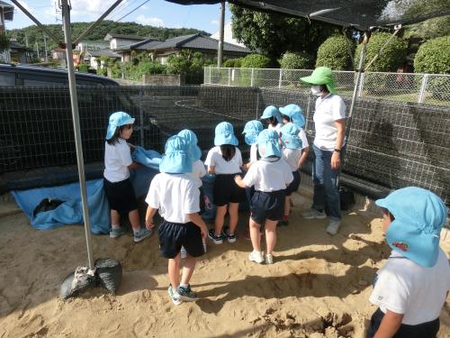 砂場に何があるのでしょうか 砂場に何があるのでしょうか