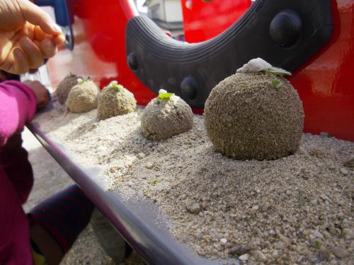 お団子がずらり お団子がずらり