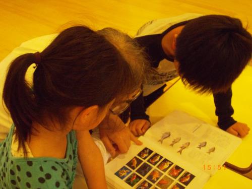 花の名前は・・・? 花の名前は・・・?