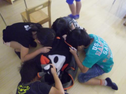 暗くすると光るのかな 暗くすると光るのかな