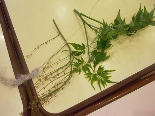 おみやげ おみやげ