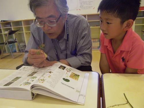 これは・・・? これは・・・?