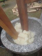 もち米が変化する様子も体験 もち米が変化する様子も体験