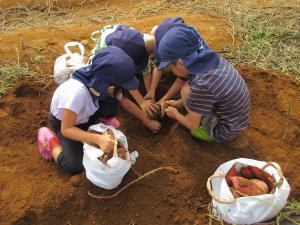 みんなで協力 みんなで協力