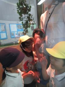 台風体験 台風体験