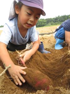 大き~い! 大き~い!