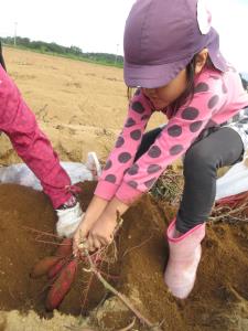 もう少しだよ! もう少しだよ!