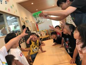 ツマグロヒョウモン ツマグロヒョウモン