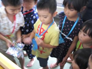 どれがいい? どれがいい?