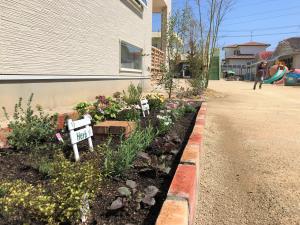 ハーブと季節の花 ハーブと季節の花