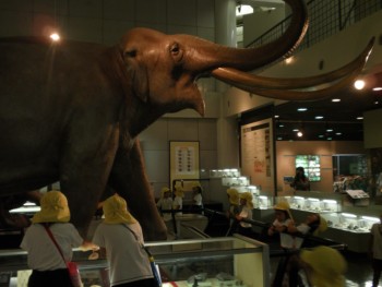 大きい象の模型