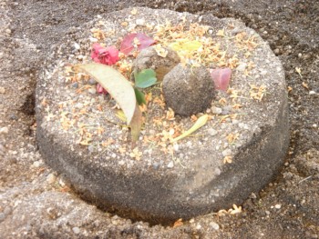 トッピングが素敵ですね トッピングが素敵ですね