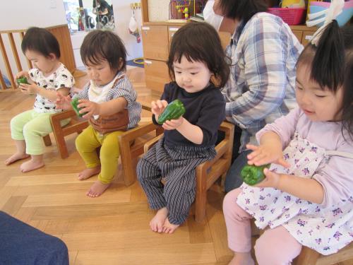 この野菜は・・・ この野菜は・・・