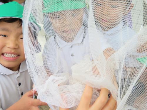 Getしたよ! Getしたよ!