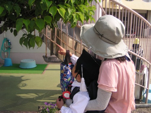 「てんとう虫の幼虫がいるね」 「てんとう虫の幼虫がいるね」