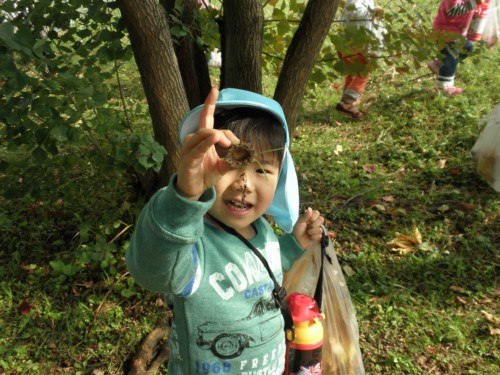 ほら、どんぐり帽子見つけたよ! ほら、どんぐり帽子見つけたよ!
