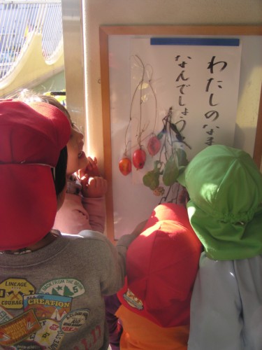 新しい赤い実は、どんな匂い? 新しい赤い実は、どんな匂い?