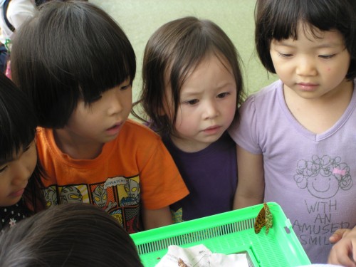 ちょうちょうになって動く姿に目は釘付け。 ちょうちょうになって動く姿に目は釘付け。