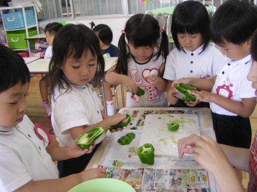 ピーマンの中を覗いてみよう!色々なものが入っているね。 ピーマンの中を覗いてみよう!色々なものが入っているね。