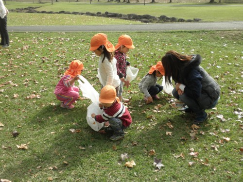 近くの公園で落ち葉拾い 近くの公園で落ち葉拾い