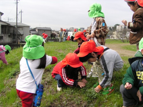 よもぎ摘み よもぎ摘み