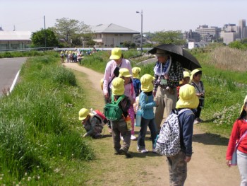 川沿いを・・・ 川沿いを・・・
