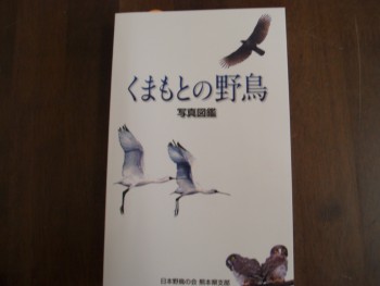 野鳥の本
