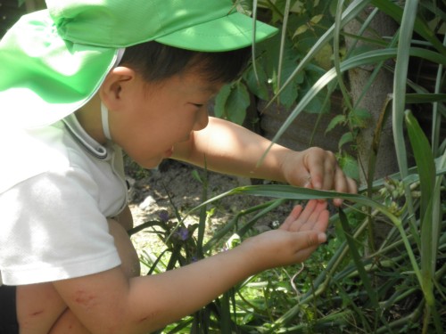 なにかいるよ。 なにかいるよ。