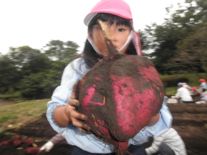 おおきいでしょ! おおきいでしょ!