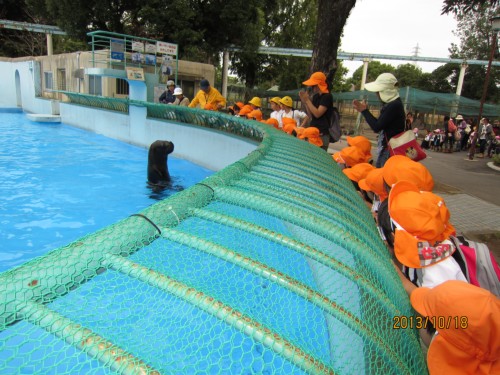 オタリアさんこんにちは! オタリアさんこんにちは!