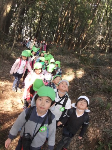 立田山の空気を感じながら歩いて向かいます。 立田山の空気を感じながら歩いて向かいます。