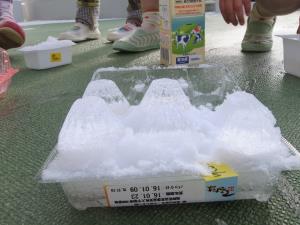 卵パック型の氷 卵パック型の氷