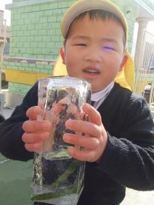 牛乳パックで作った氷だよ 牛乳パックで作った氷だよ