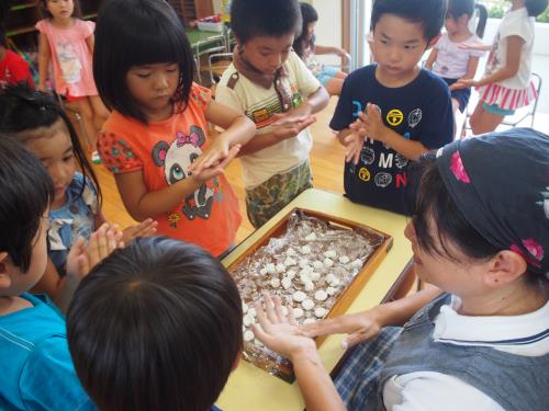 白玉団子 白玉団子