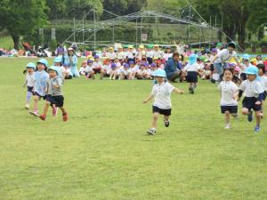 さくらぐみさん さくらぐみさん