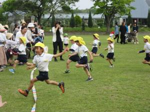 きくぐみさん きくぐみさん