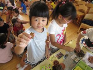 せみの抜け殻だよ。 せみの抜け殻だよ。