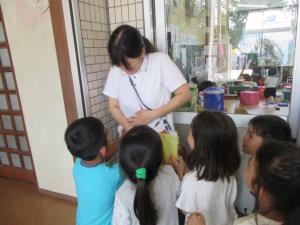 先生、宝はどこですか? 先生、宝はどこですか?