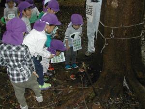 これは何かな? これは何かな?