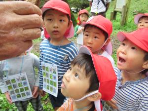 へぇ~!知らなかった! へぇ~!知らなかった!